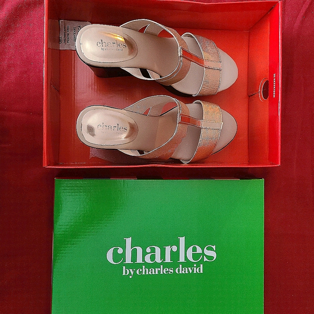 3-inches Wedge Sandals 👡